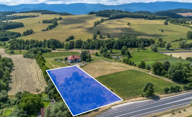 działka na sprzedaż - Jeżów Sudecki, Siedlęcin